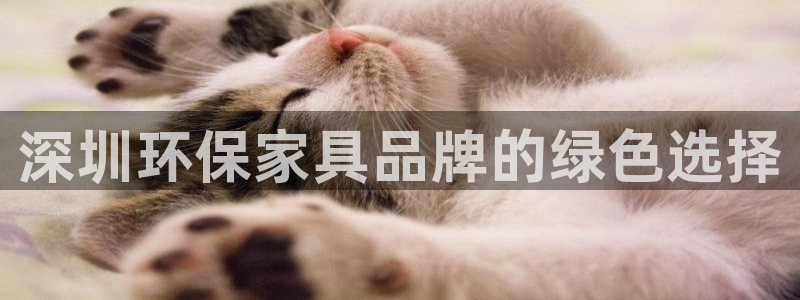 杏耀平台代理注册多少钱一年