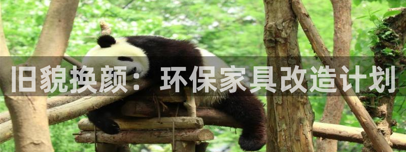 杏耀平台怎么样?