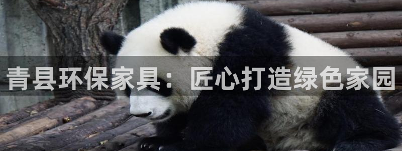 杏耀平台网站是什么