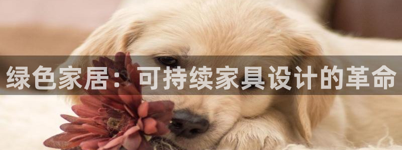 杏耀平台官方网站