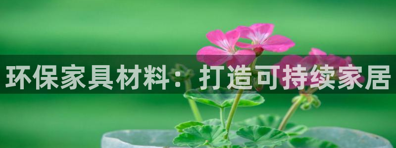 杏耀手机登录线路测速
