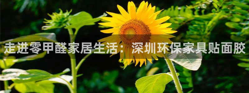 杏耀注册主管