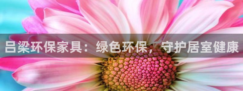 杏耀平台怎样