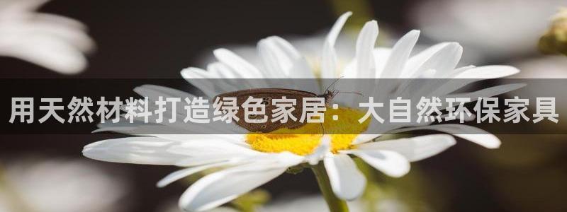 杏耀平台专用通道