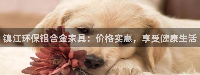 杏耀测速登录地址