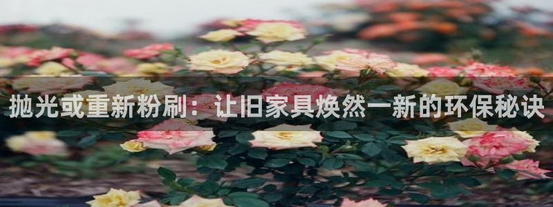 杏耀平台代理怎么赚钱