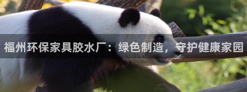 杏耀总代理