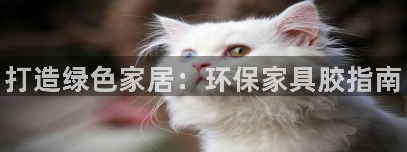 杏耀平台黑款