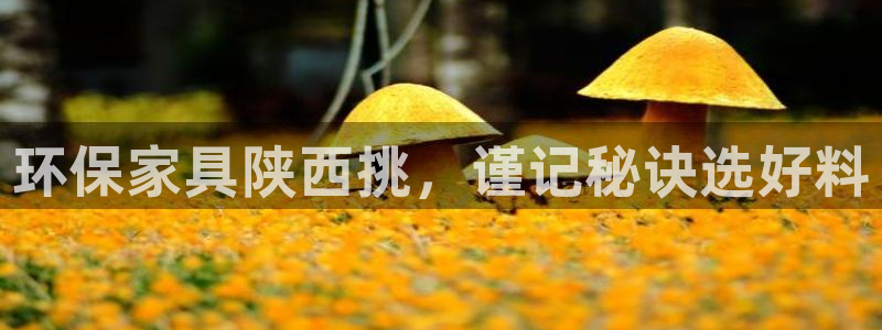 杏耀平台几年了