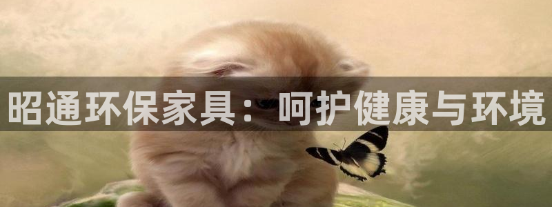 杏耀平台注册问一问：昭通环保家具：呵护健康与环境