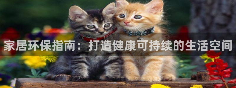 杏耀总代：家居环保指南：打造健康可持续的生活空间