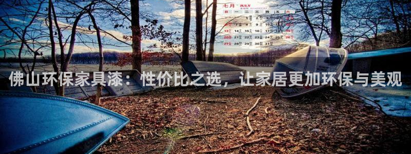 杏耀平台分红：佛山环保家具漆：性价比之选，让家居更加环保与美