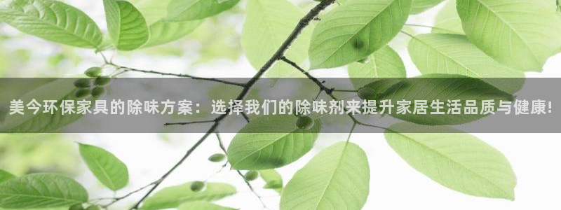 杏耀平台线路测试：美今环保家具的除味方案：选择我们的除味剂来