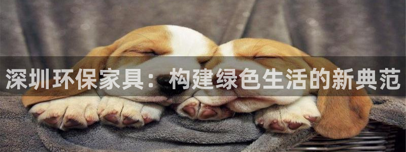 杏耀测速网址电脑版