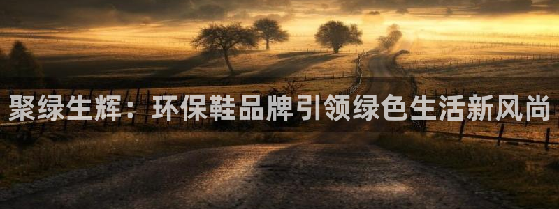 杏耀平台官方网站下载：聚绿生辉：环保鞋品牌引领绿色生活新风尚