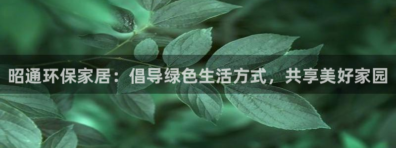 杏耀登陆电脑线路测速