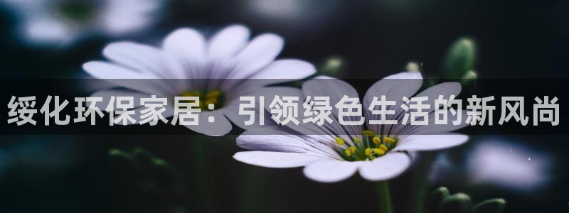 杏耀平台怎么注册