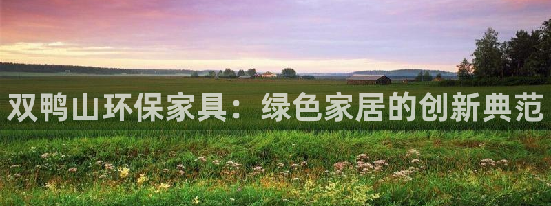 杏耀平台官方网站：双鸭山环保家具：绿色家居的创新典范