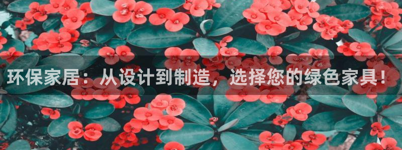 杏耀管网登录：环保家居：从设计到制造，选择您的绿色家具！