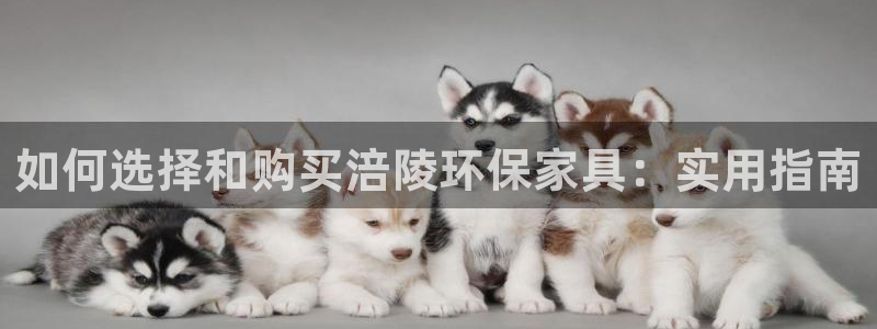 杏耀网页手机登录