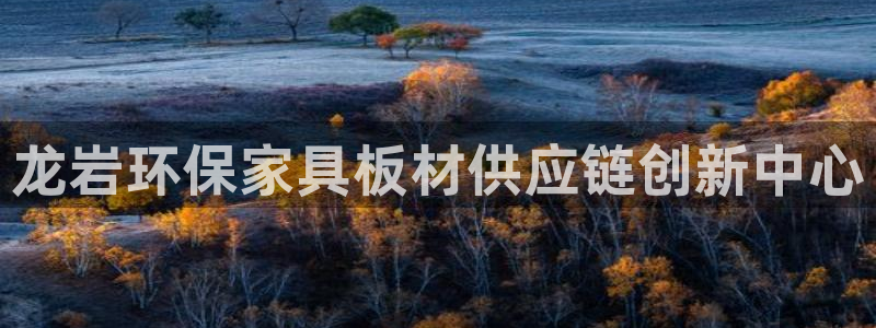 杏耀平台注册登录：龙岩环保家具板材供应链创新中心