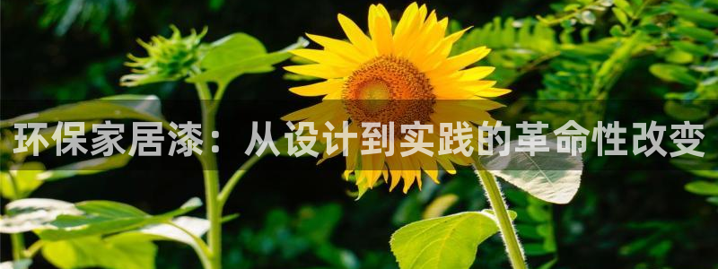 杏耀平台官网网址：环保家居漆：从设计到实践的革命性改变