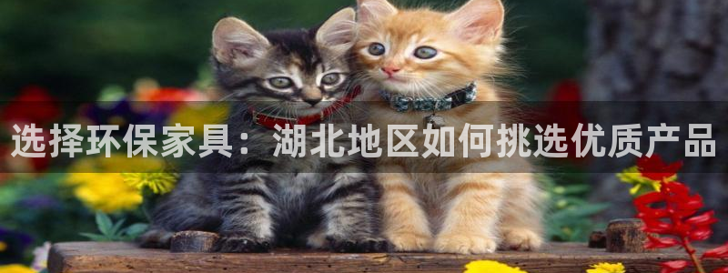 杏耀平台注册流程
