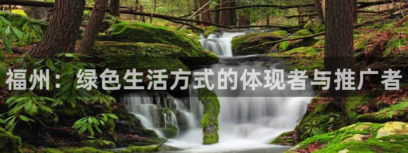 杏耀注册线路