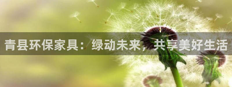 杏耀平台测速地址：青县环保家具：绿动未来，共享美好生活