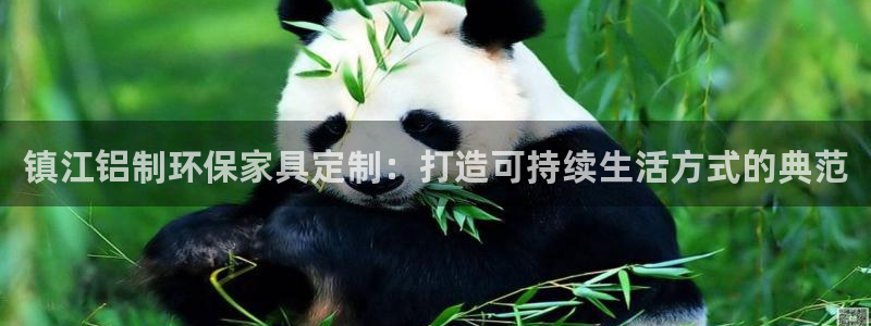 杏耀软件