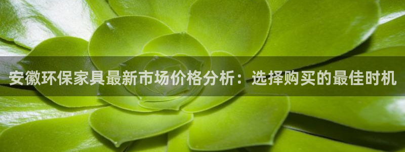 杏耀平台官网登录