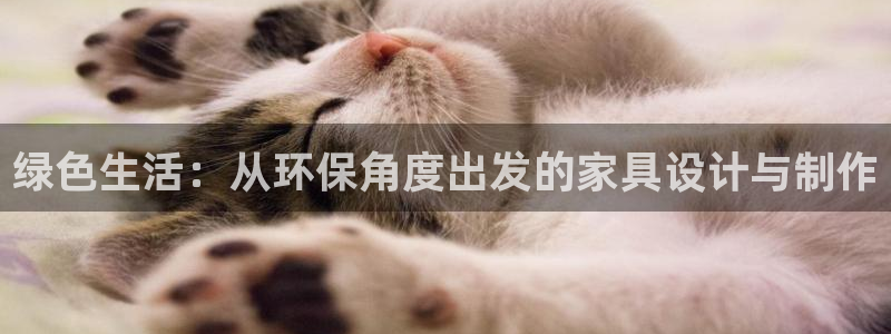 杏耀代理1980：绿色生活：从环保角度出发的家具设计与制作
