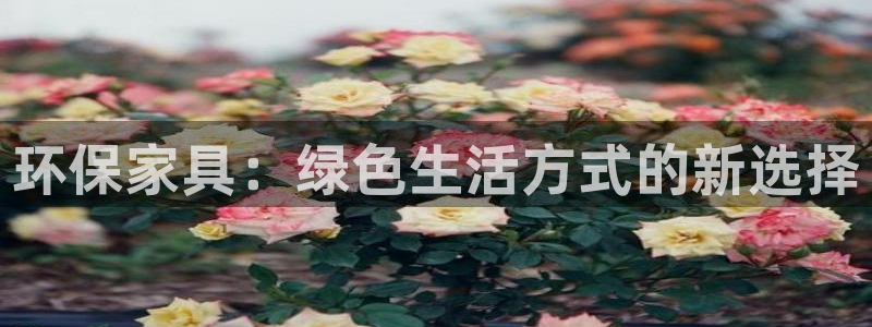 杏耀代理官网
