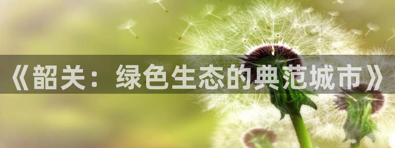 杏耀测速登录地址