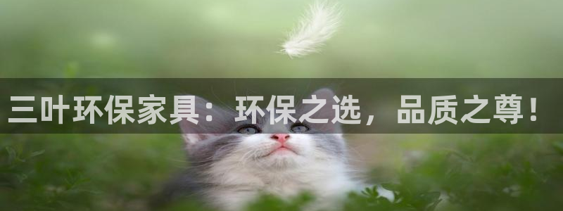 杏耀平台线路测试