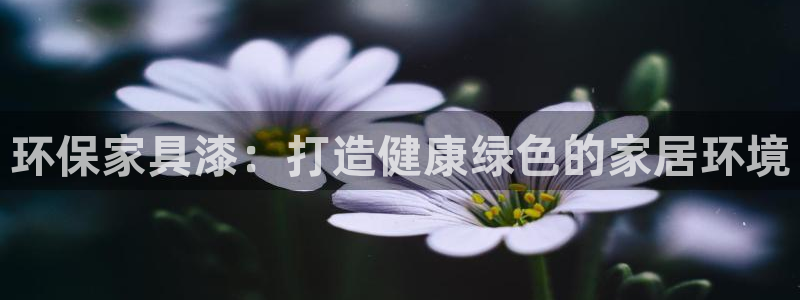 杏耀注册登入：环保家具漆：打造健康绿色的家居环境