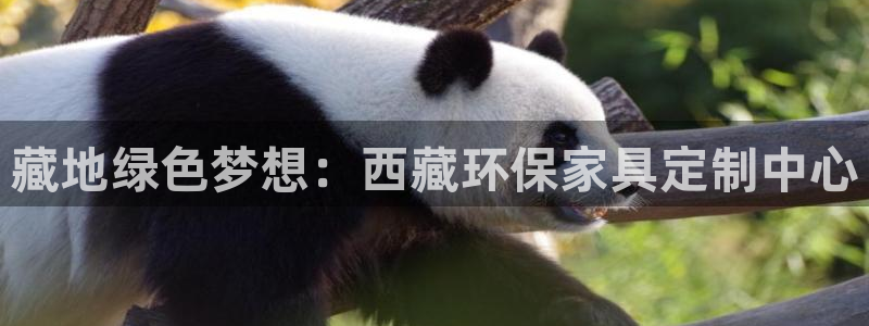 杏耀平台手机登录