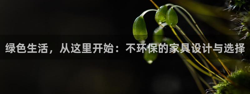 杏耀平台代理怎么赚钱：绿色生活，从这里开始：不环保的家具设计