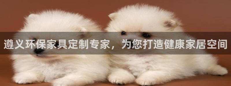 杏耀平台手机app：遵义环保家具定制专家，为您打造健康家居空