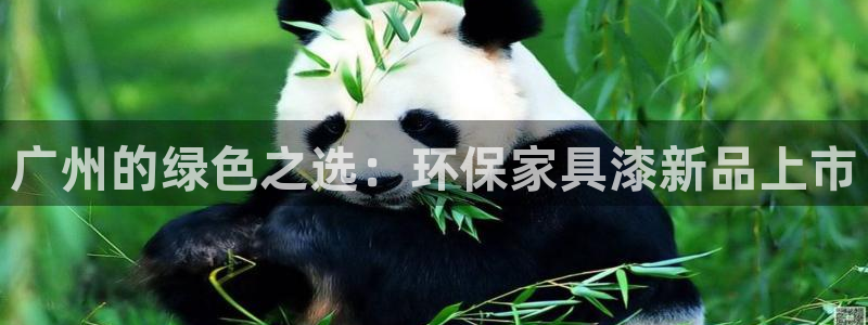 杏耀注册杏耀登陆：广州的绿色之选：环保家具漆新品上市