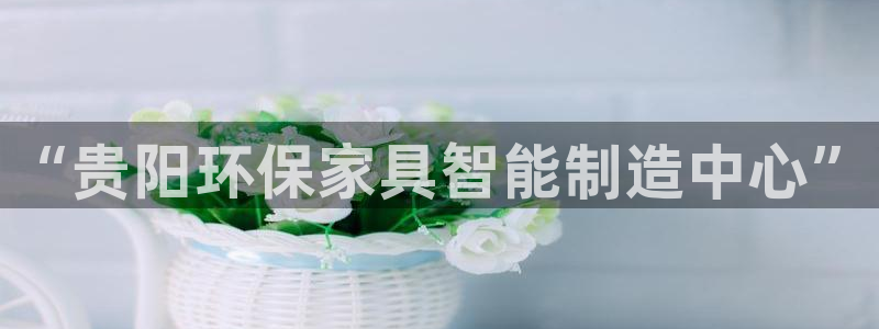 杏耀平台怎么样?：“贵阳环保家具智能制造中心”