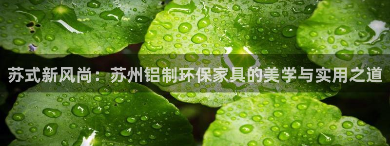 杏耀官网注册：苏式新风尚：苏州铝制环保家具的美学与实用之道