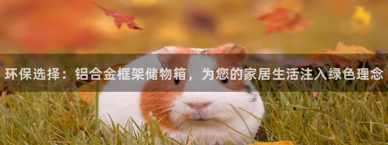 杏耀平台注册地址：环保选择：铝合金框架储物箱，为您的家居生活