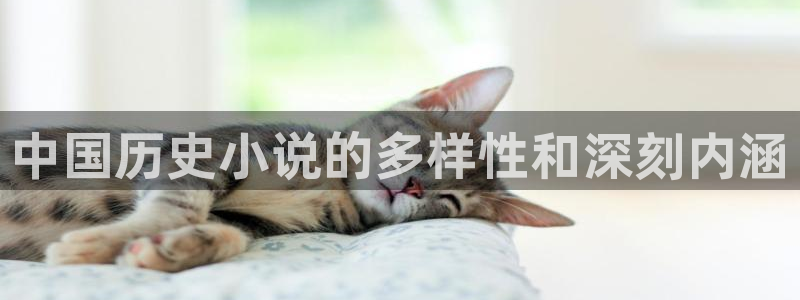 bilinovel 哔哩轻小说：中国历史小说的多样性和深刻内涵