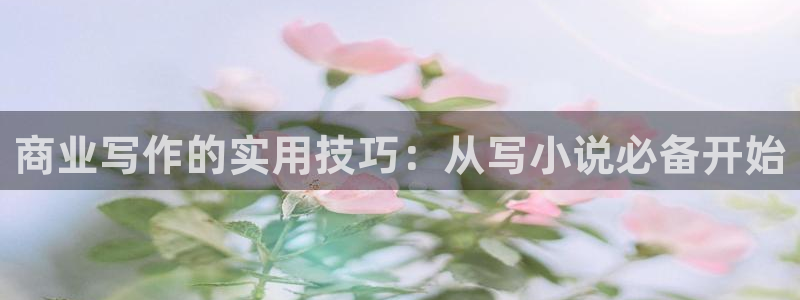 哔哩轻小说.：商业写作的实用技巧：从写小说必备开始
