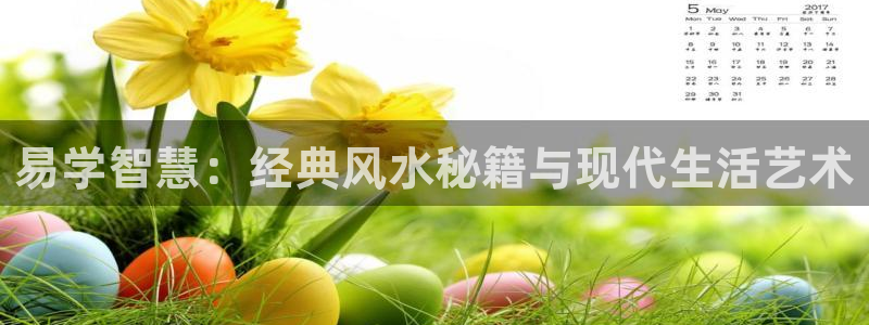 哔哩轻小说网页版：易学智慧：经典风水秘籍与现代生活艺术