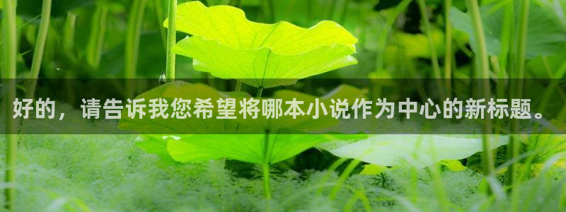 bilinovel 哔哩轻小说：好的，请告诉我您希望将哪本小说作为中心的新标题。