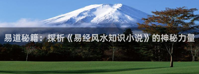 哔哩轻小说网站：易道秘籍：探析《易经风水知识小说》的神秘力量