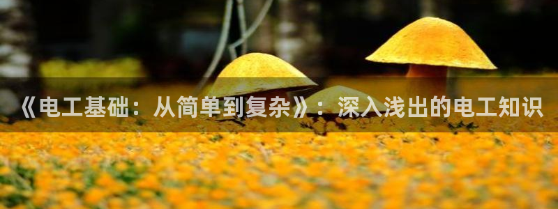 刀剑神域哔哩轻小说：《电工基础：从简单到复杂》：深入浅出的电工知识