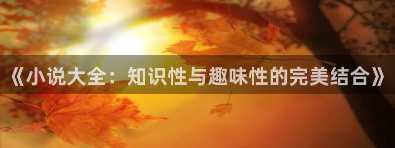 哔哩轻小说 小说：《小说大全：知识性与趣味性的完美结合》